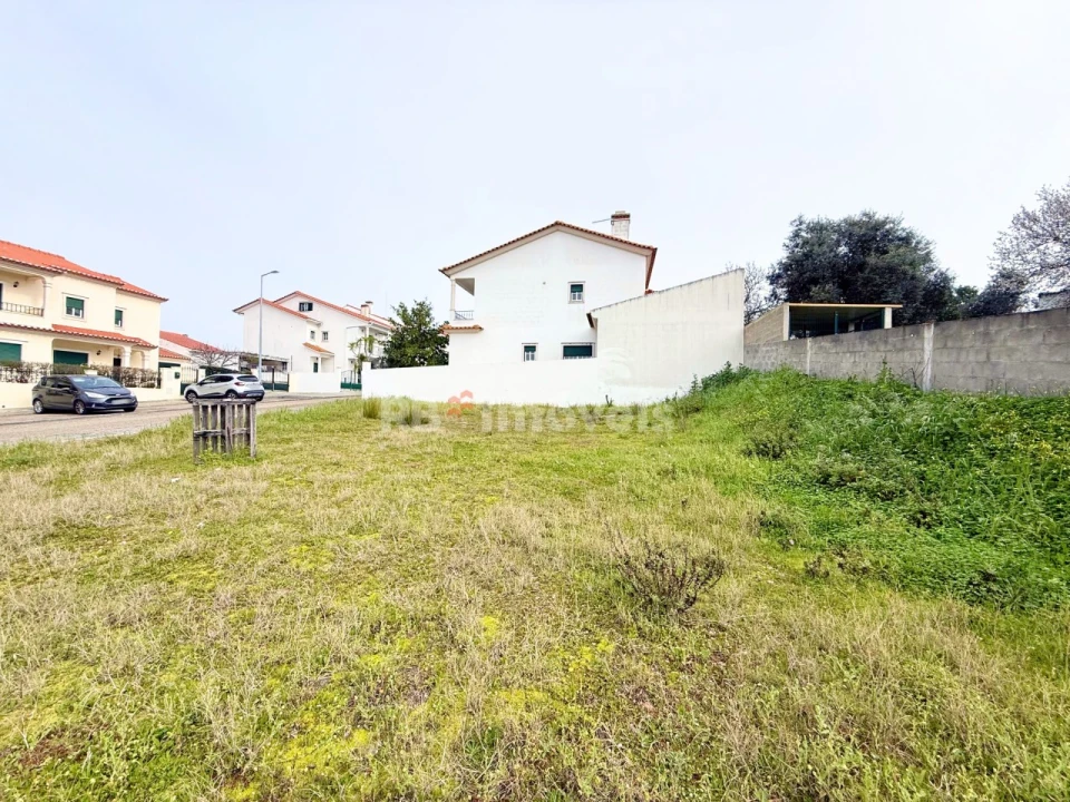 Terreno para Venda em Chamusca e Pinheiro Grande Foto 6