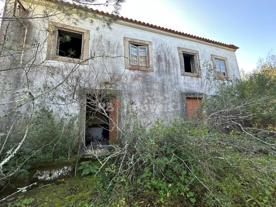 Quinta T3 para Venda em Madalena e Beselga Foto 1