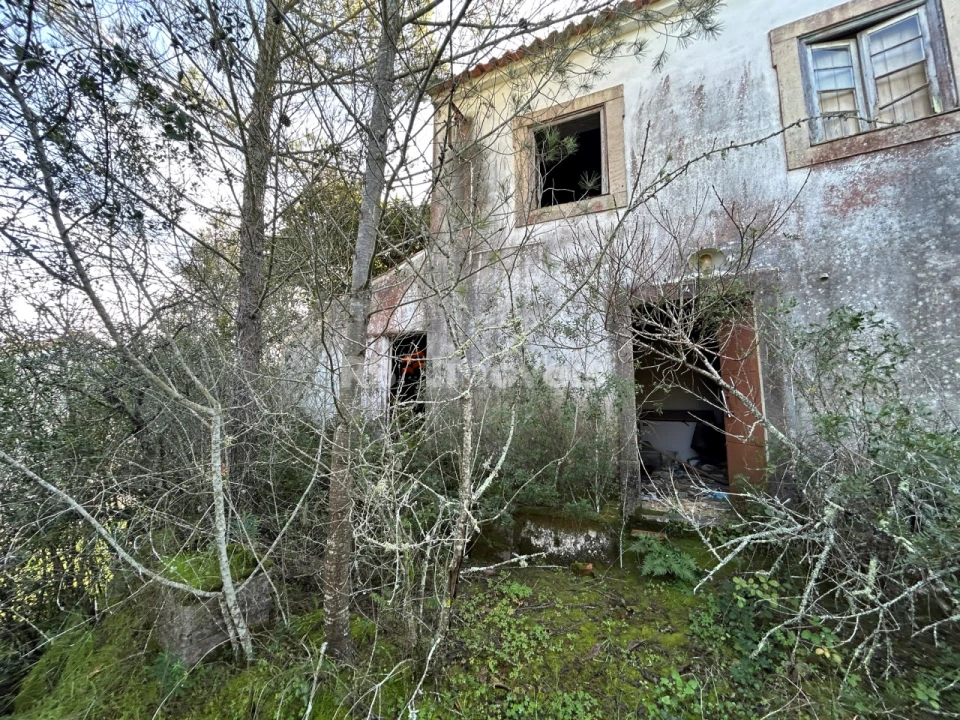 Quinta T3 para Venda em Madalena e Beselga Foto 3