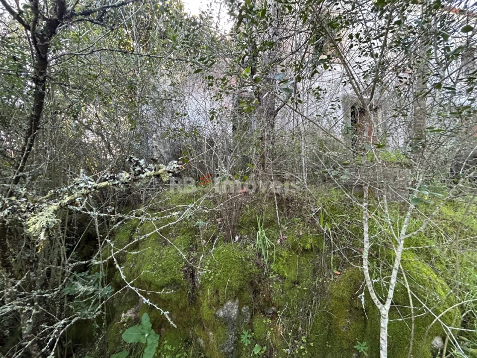 Quinta T3 para Venda em Madalena e Beselga Foto 11