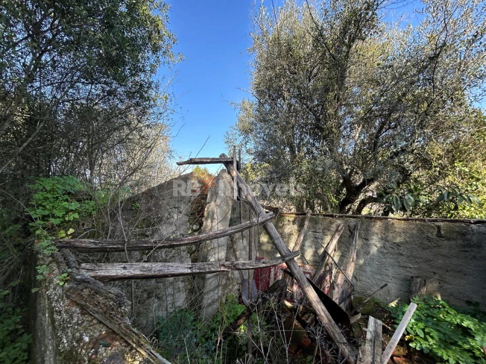 Quinta T3 para Venda em Madalena e Beselga Foto 6