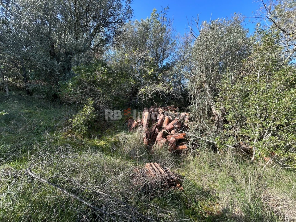 Quinta T3 para Venda em Madalena e Beselga Foto 17