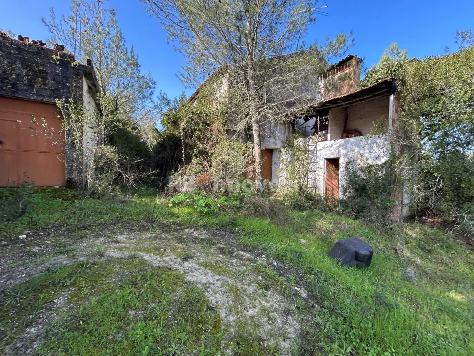 Quinta T3 para Venda em Madalena e Beselga Foto 7