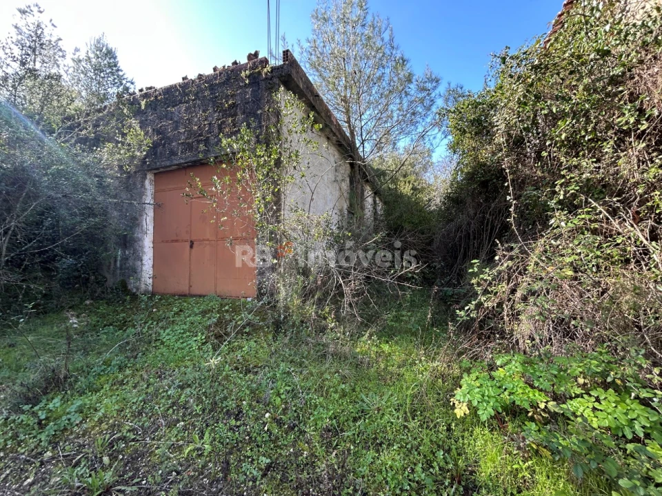 Quinta T3 para Venda em Madalena e Beselga Foto 9