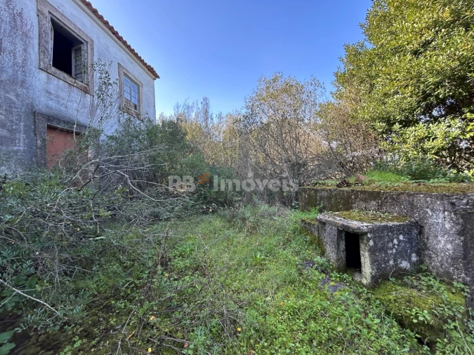 Quinta T3 para Venda em Madalena e Beselga Foto 4