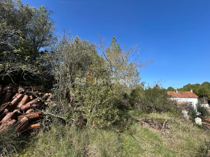 Quinta T3 para Venda em Madalena e Beselga Foto 14