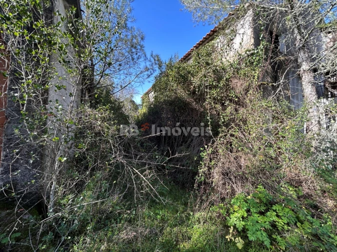 Quinta T3 para Venda em Madalena e Beselga Foto 5