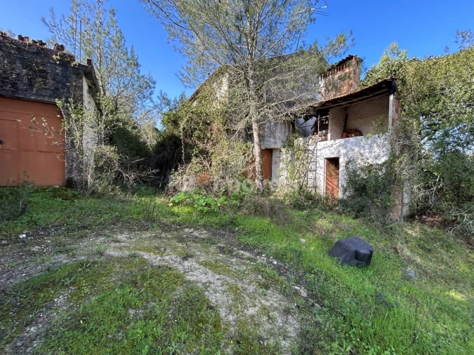 Quinta T3 para Venda em Madalena e Beselga Foto 7