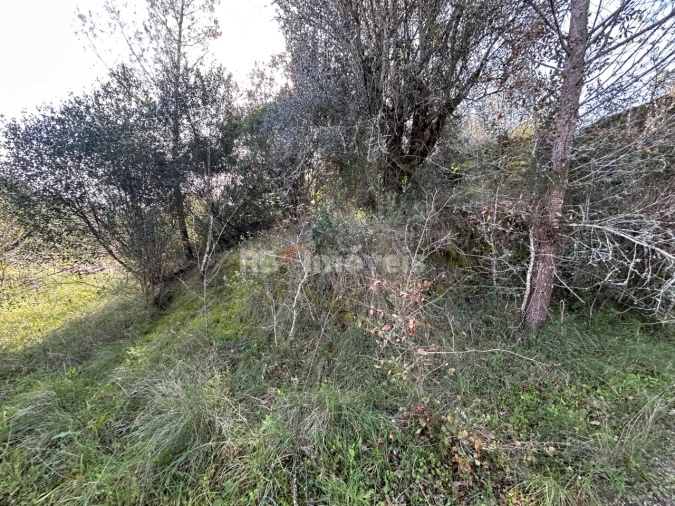 Quinta T3 para Venda em Madalena e Beselga Foto 18