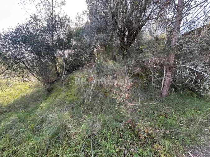 Quinta T3 para Venda em Madalena e Beselga Foto 19