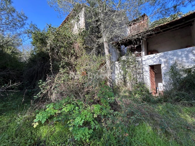 Quinta T3 para Venda em Madalena e Beselga Foto 8