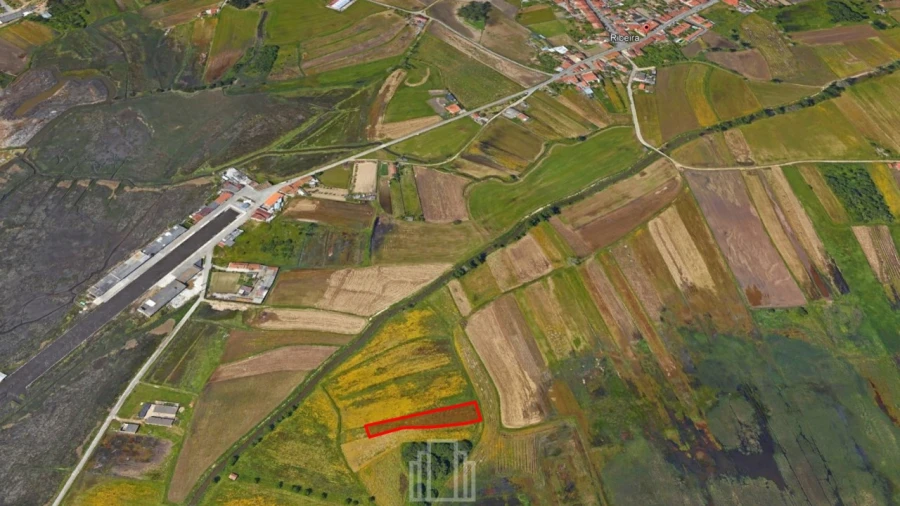 Terreno Agricola ou Rústico para Venda em Ovar, São João, Arada e São Vicente de Pereira Jusã Foto 3
