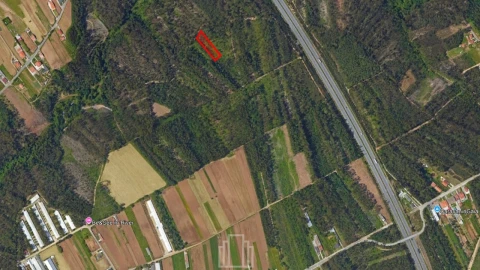 Terreno Agricola ou Rústico para Venda em Ovar, São João, Arada e São Vicente de Pereira Jusã