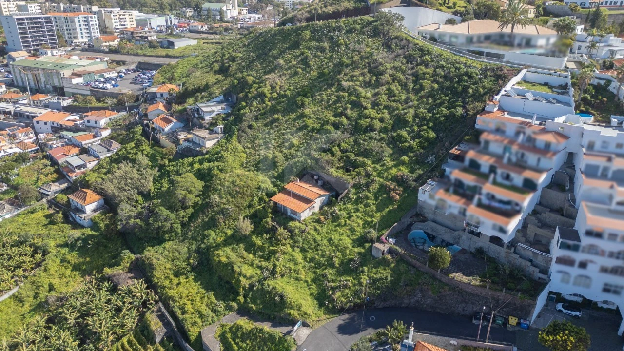 Terreno para Venda em São Martinho Foto 2