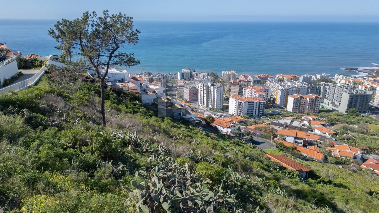 Terreno para Venda em São Martinho Foto 3