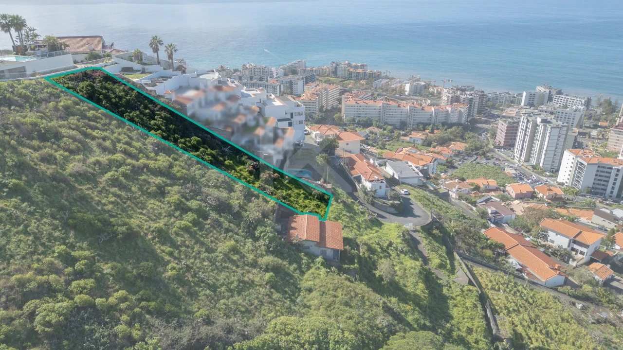 Terreno para Venda em São Martinho Foto 6