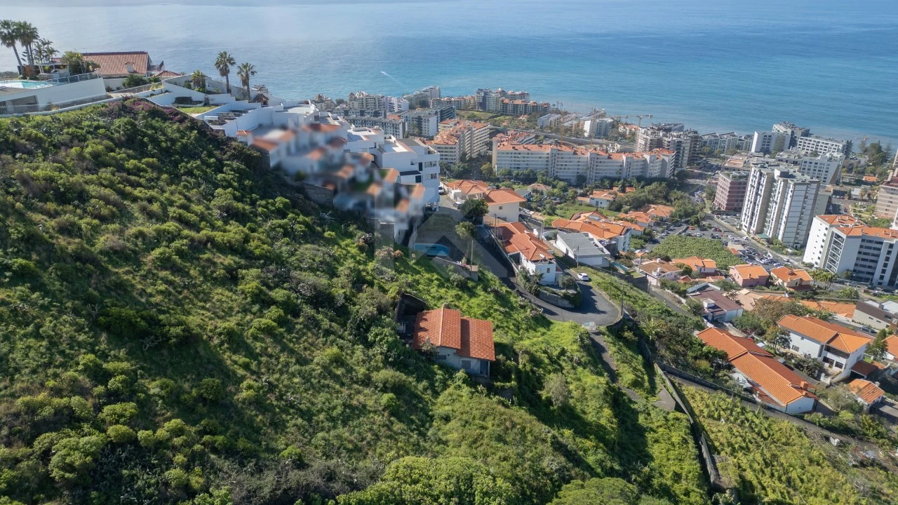 Terreno para Venda em São Martinho Foto 7