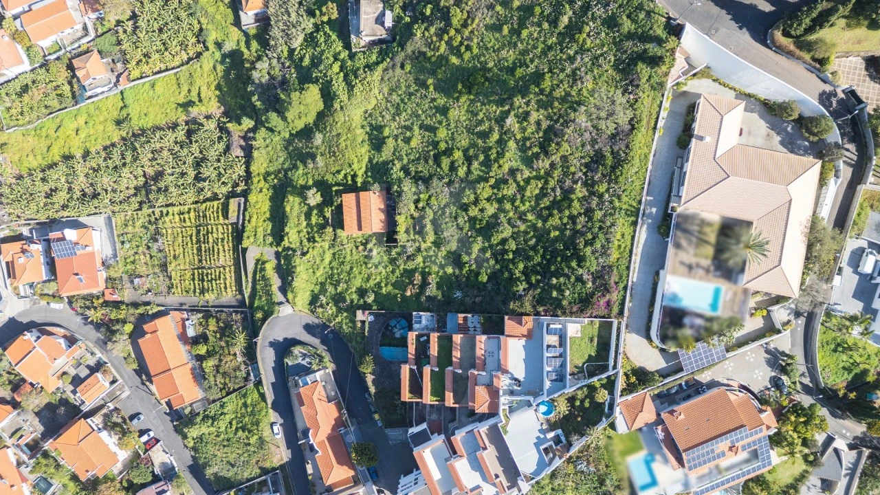 Terreno para Venda em São Martinho Foto 14