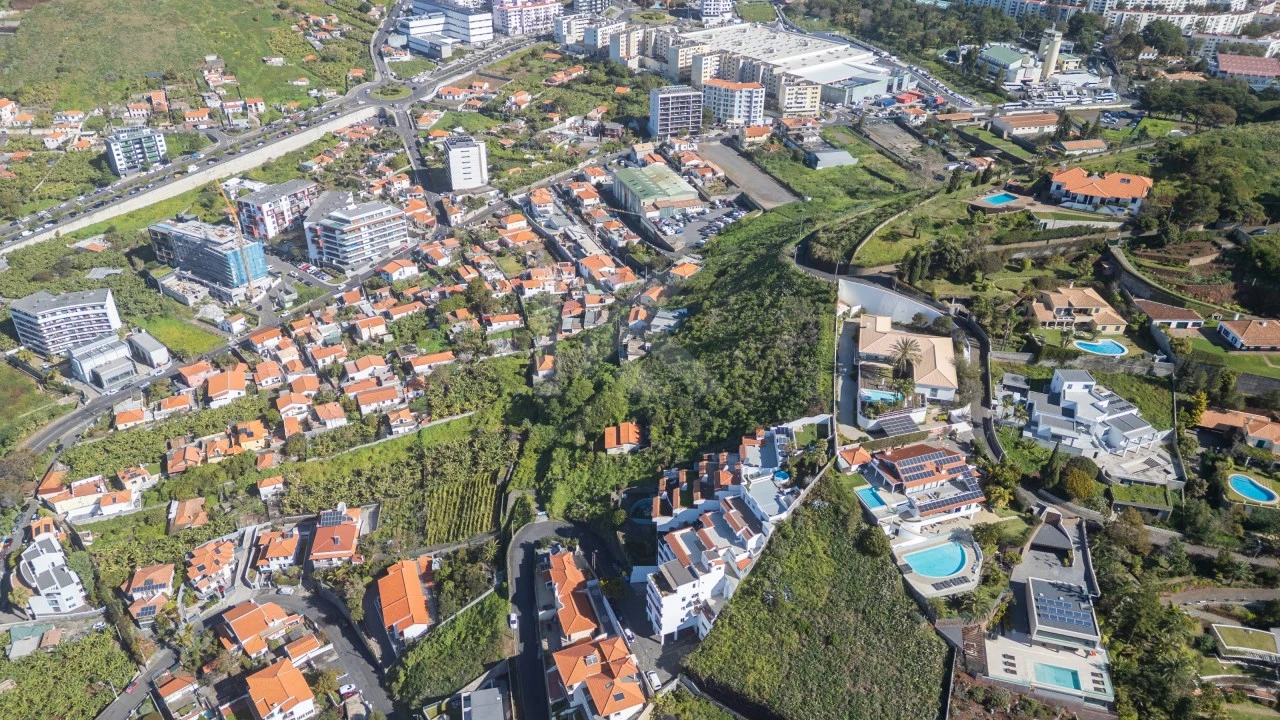 Terreno para Venda em São Martinho Foto 16