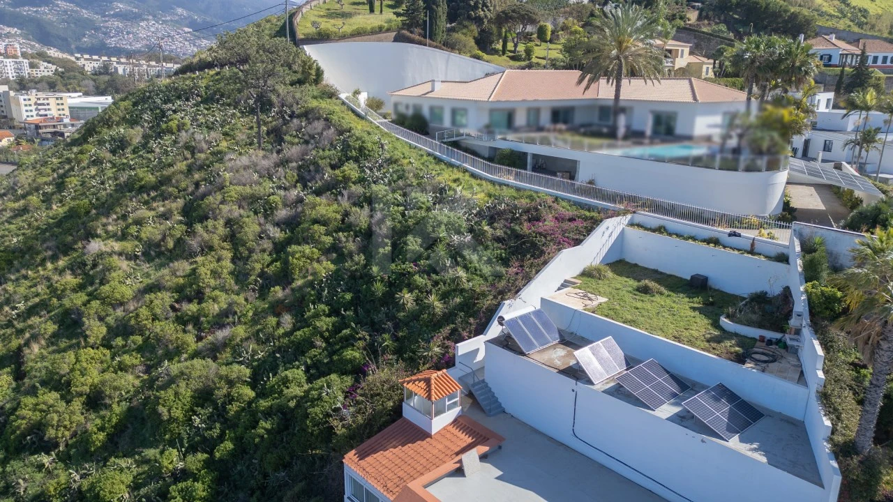 Terreno para Venda em São Martinho Foto 20
