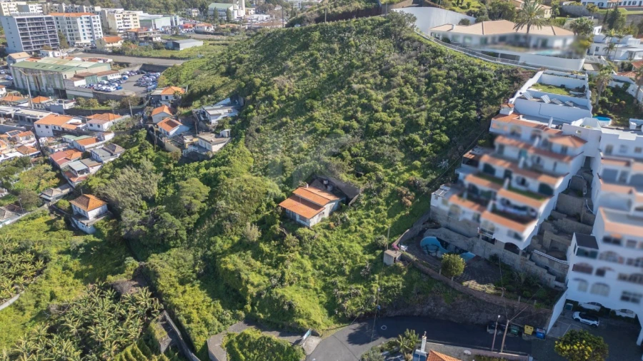 Terreno para Venda em São Martinho Foto 2