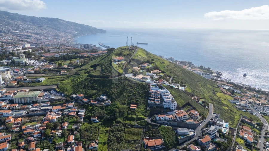 Terreno para Venda em São Martinho Foto 19