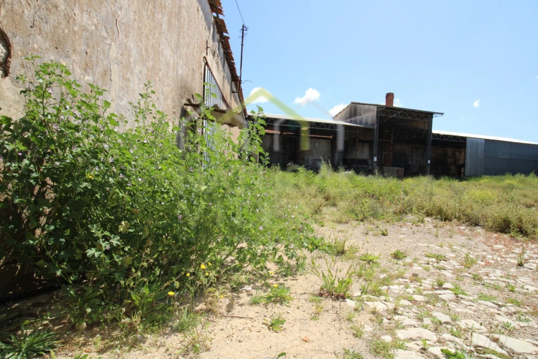 Negócio para Venda em São Brás de Alportel Foto 4