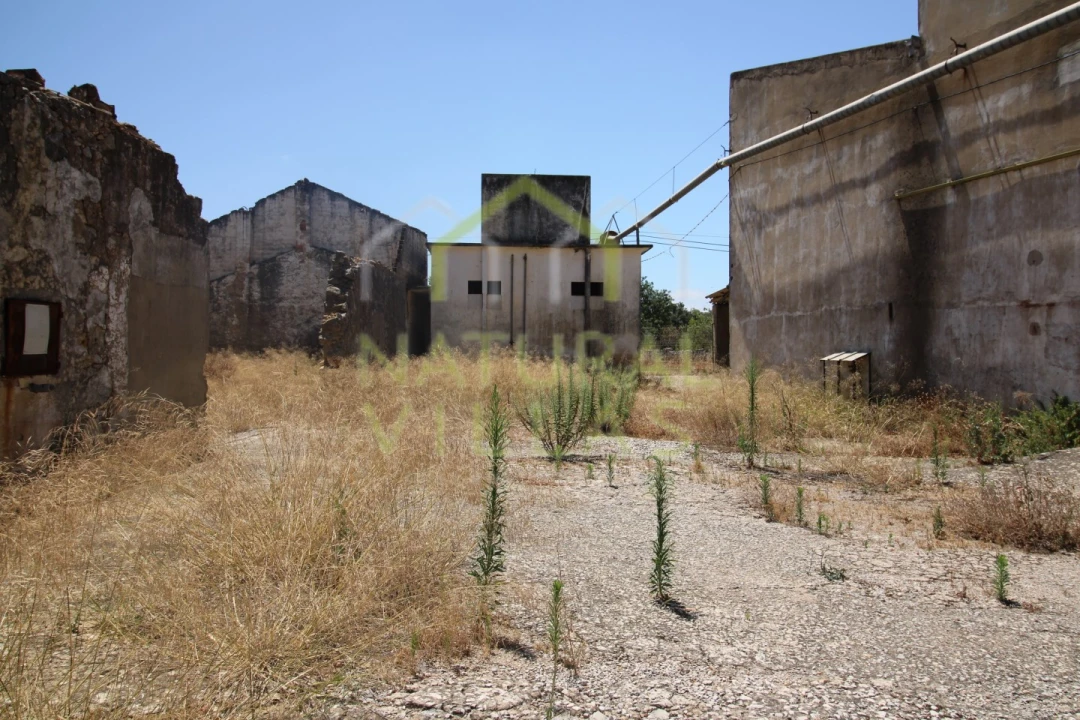 Negócio para Venda em São Brás de Alportel Foto 6