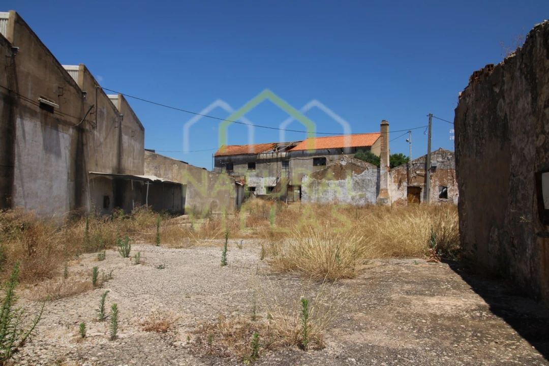 Negócio para Venda em São Brás de Alportel Foto 9