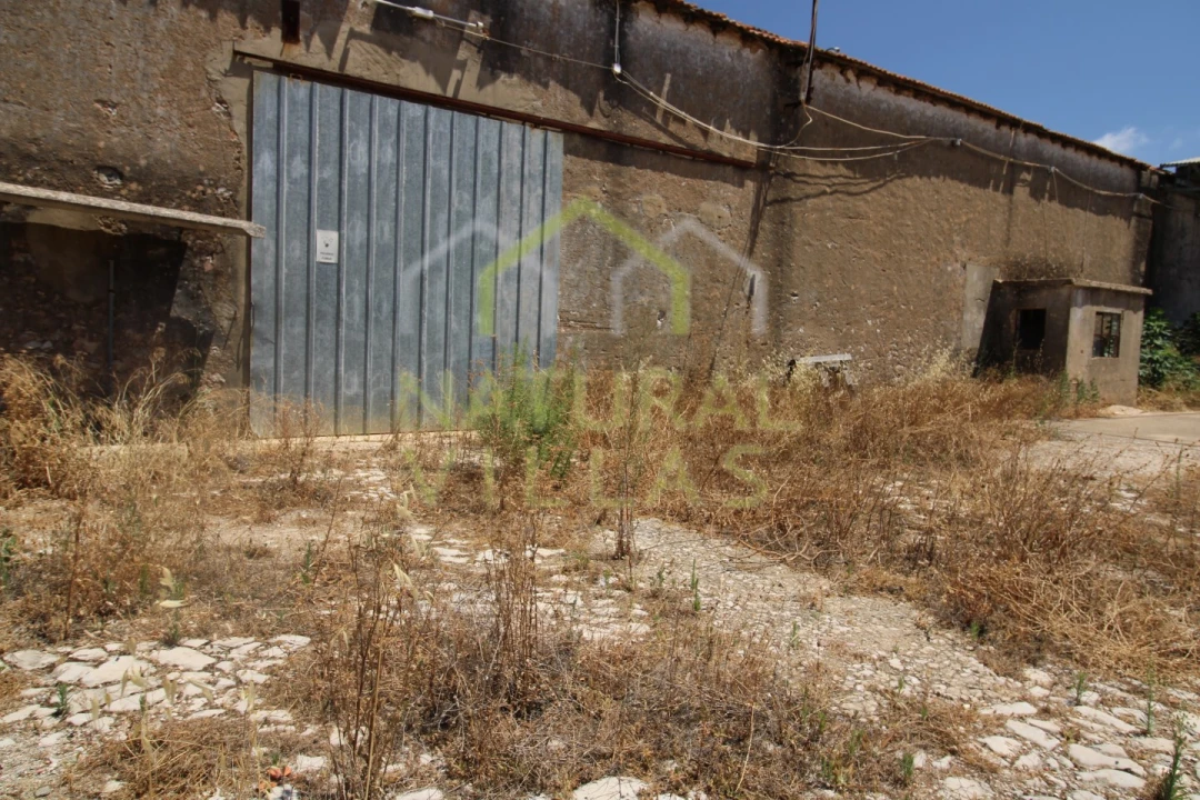 Negócio para Venda em São Brás de Alportel Foto 10