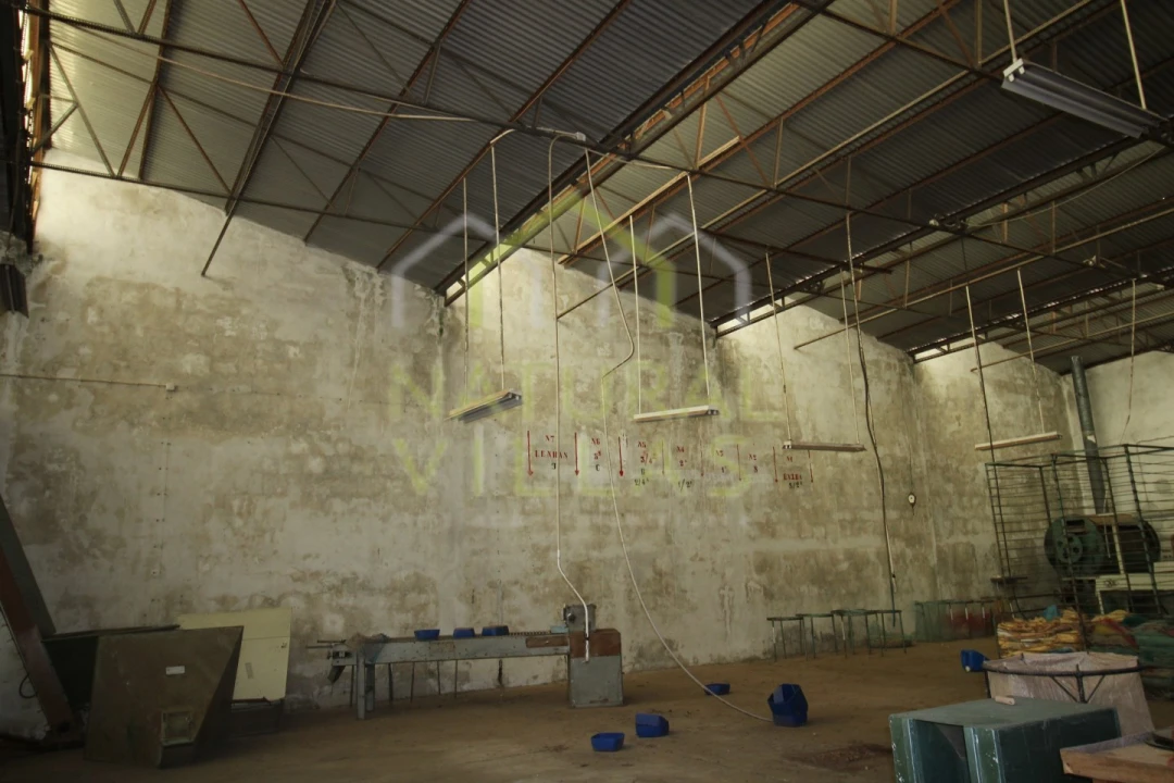 Negócio para Venda em São Brás de Alportel Foto 17