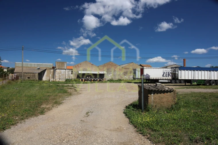 Negócio para Venda em São Brás de Alportel Foto 1