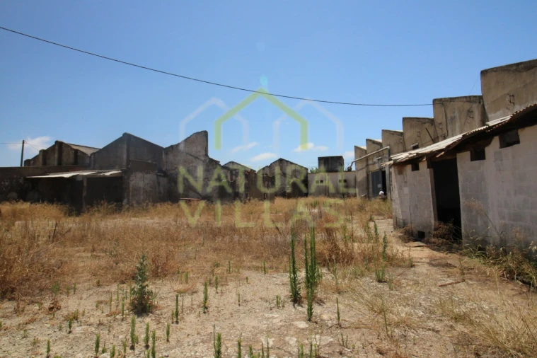 Negócio para Venda em São Brás de Alportel Foto 3