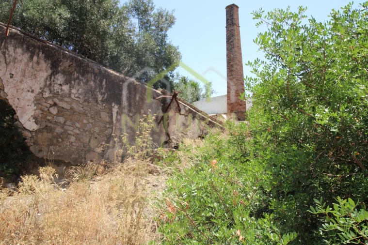 Negócio para Venda em São Brás de Alportel Foto 5
