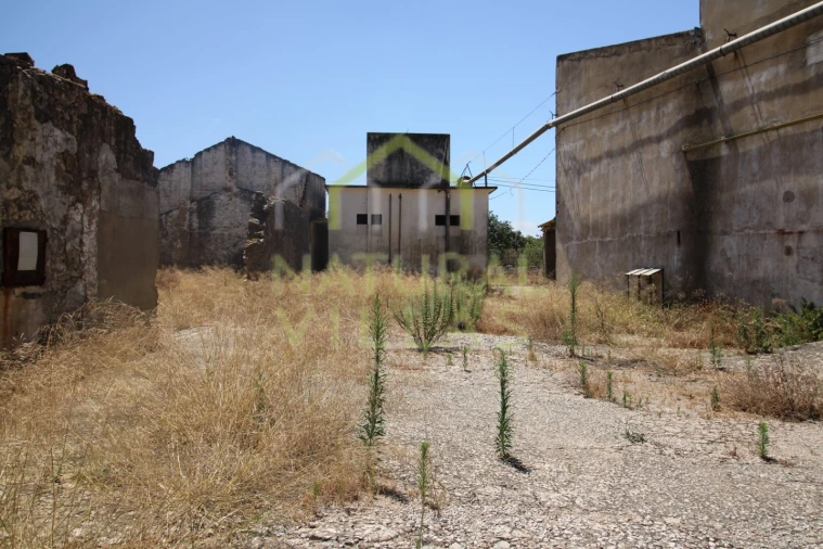 Negócio para Venda em São Brás de Alportel Foto 6