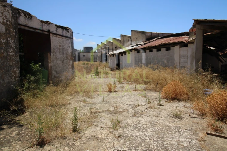Negócio para Venda em São Brás de Alportel Foto 7