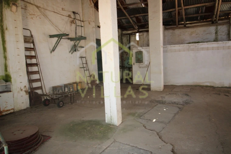 Negócio para Venda em São Brás de Alportel Foto 16