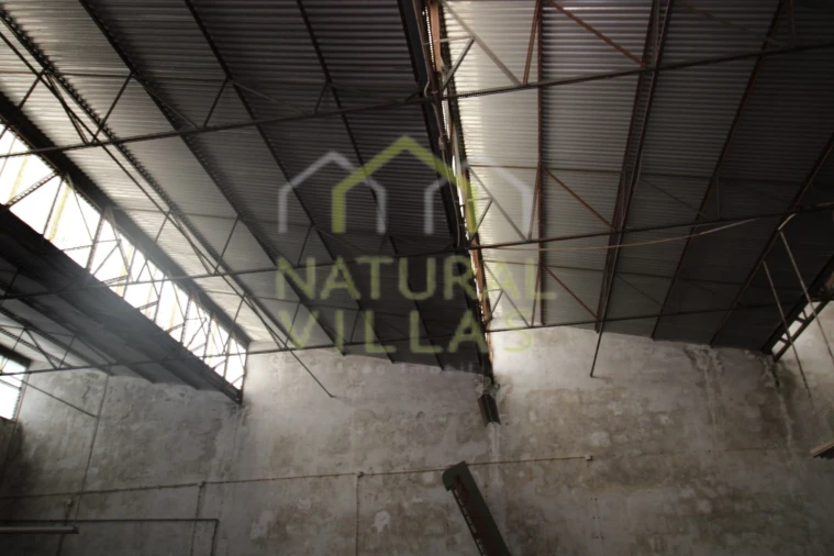 Negócio para Venda em São Brás de Alportel Foto 18