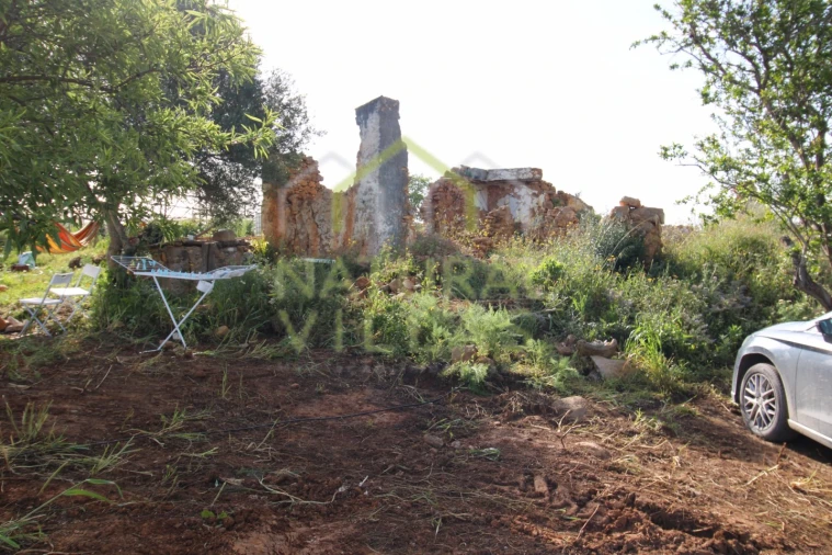 Terreno Misto para Venda em Conceição e Estoi Foto 3