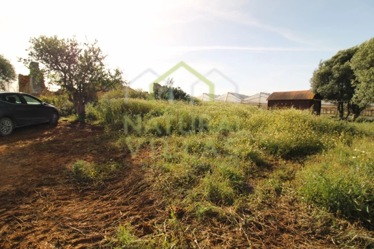 Terreno Misto para Venda em Conceição e Estoi Foto 7