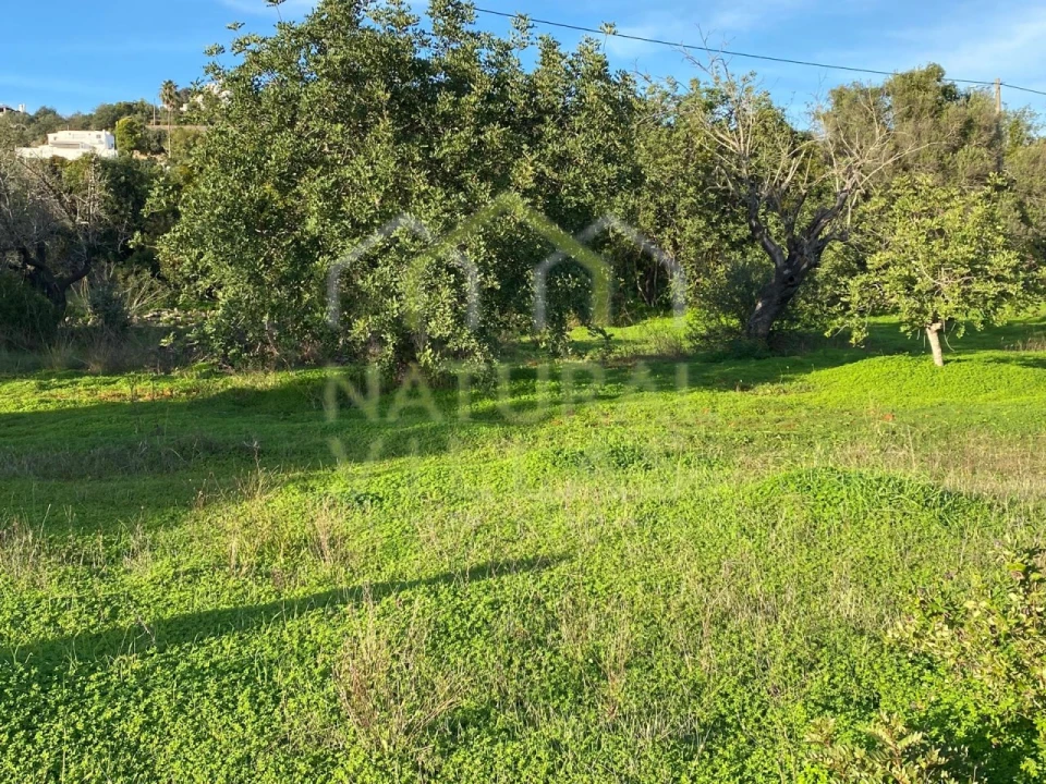 Moradia T2 para Venda em Conceição e Estoi Foto 4
