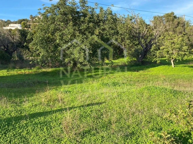 Moradia T2 para Venda em Conceição e Estoi Foto 4