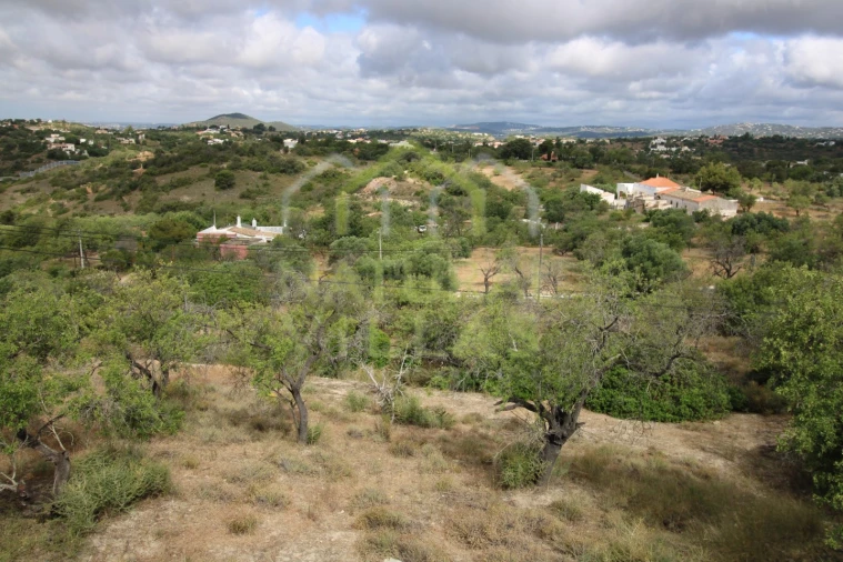 Moradia T4 para Venda em Loule (São Clemente) Foto 19