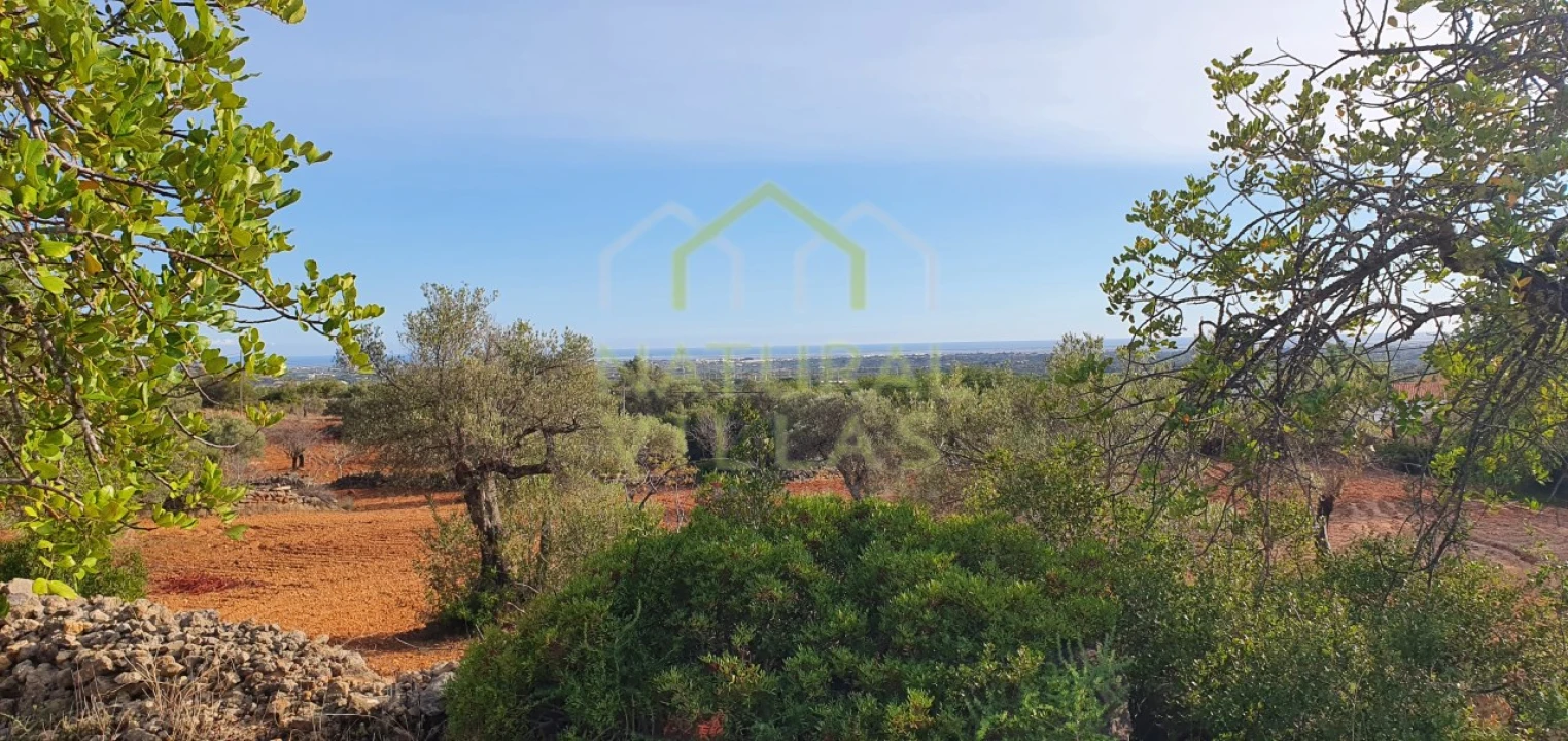 Terreno Misto para Venda em Conceição e Estoi Foto 4