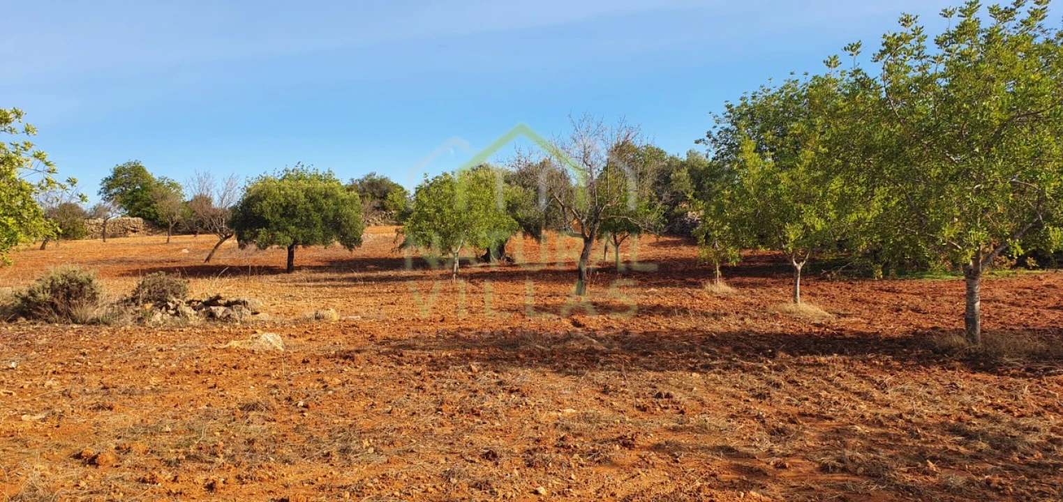 Terreno Misto para Venda em Conceição e Estoi Foto 2
