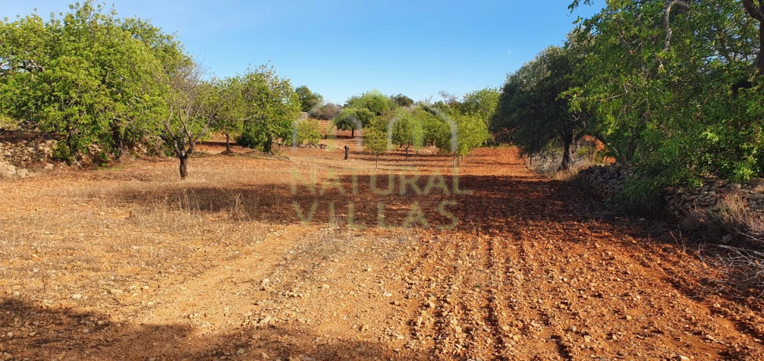 Terreno Misto para Venda em Conceição e Estoi Foto 6