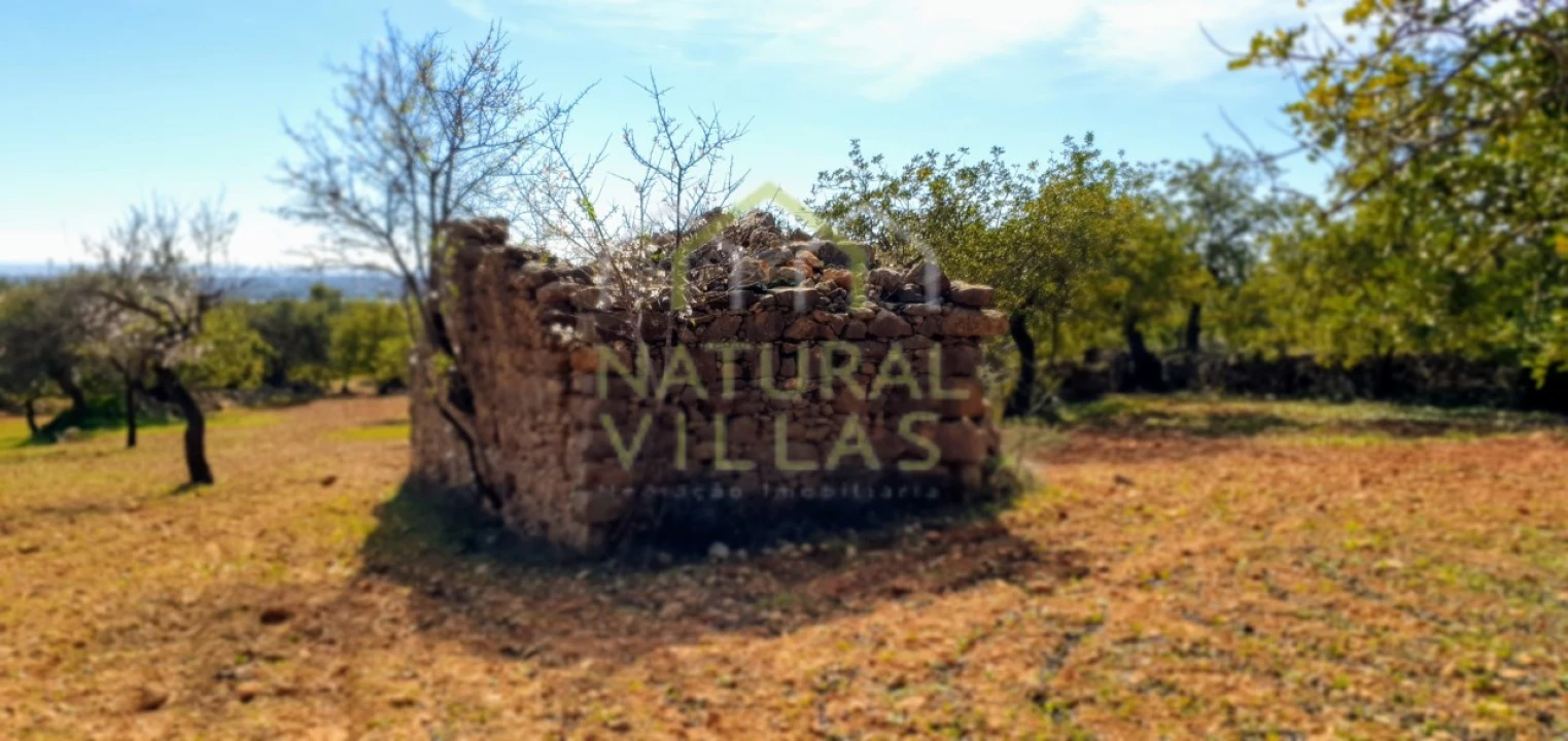 Terreno Misto para Venda em Conceição e Estoi Foto 3