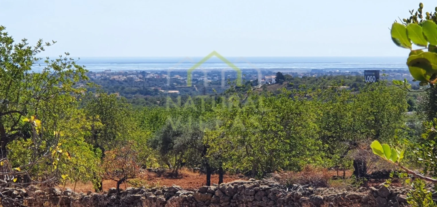 Terreno Misto para Venda em Conceição e Estoi Foto 5