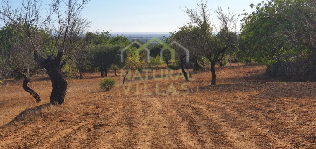 Terreno Misto para Venda em Conceição e Estoi Foto 7