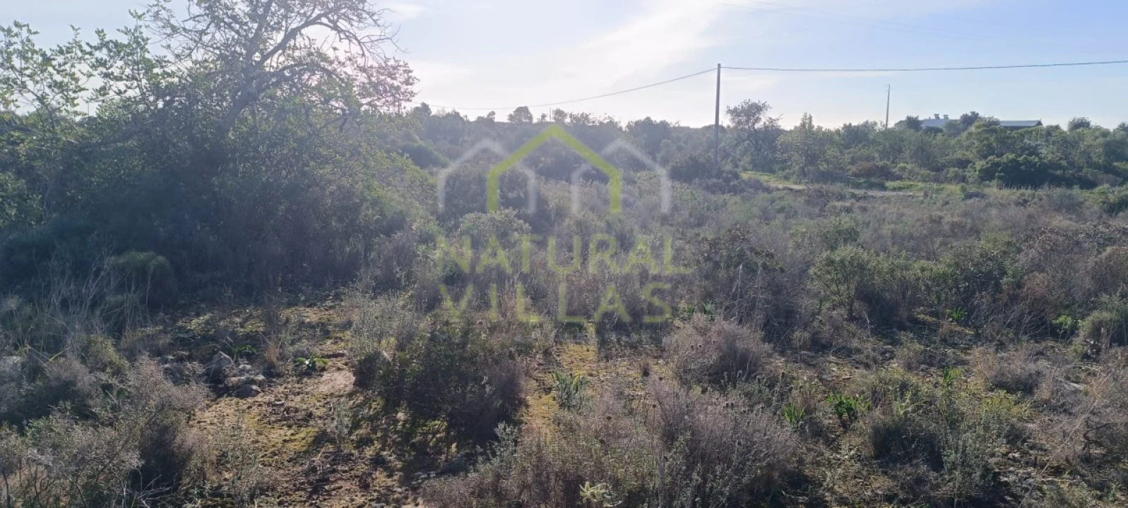 Terreno Agricola ou Rústico para Venda em Quelfes Foto 2